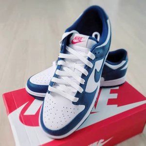 Nike Dunk Low Valerian Blue DD1391-400
